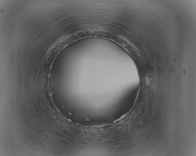 X0000084550919200703091715