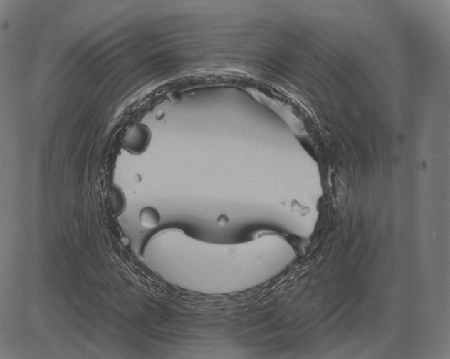 X0000084550920200703091715