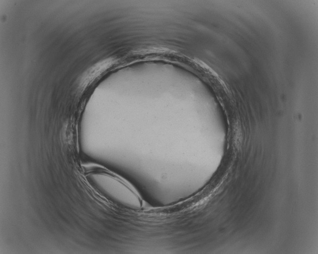 X0000084550921200703091715