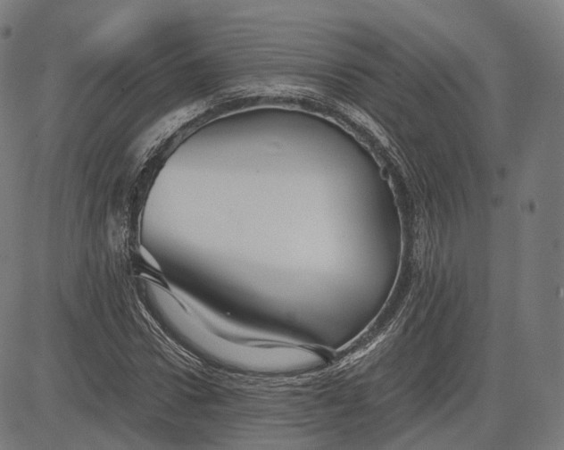 X0000084550922200703091715