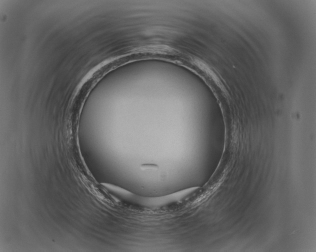 X0000084550923200703091715