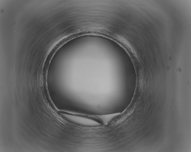 X0000084550924200703091715