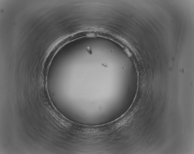 X0000084550927200703091715