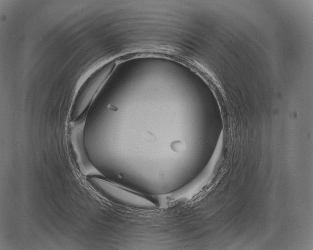 X0000084550928200703091715