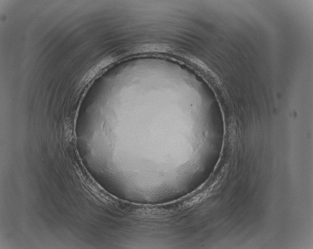 X0000084550929200703091715