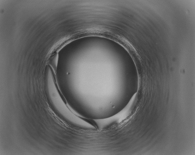 X0000084550930200703091715