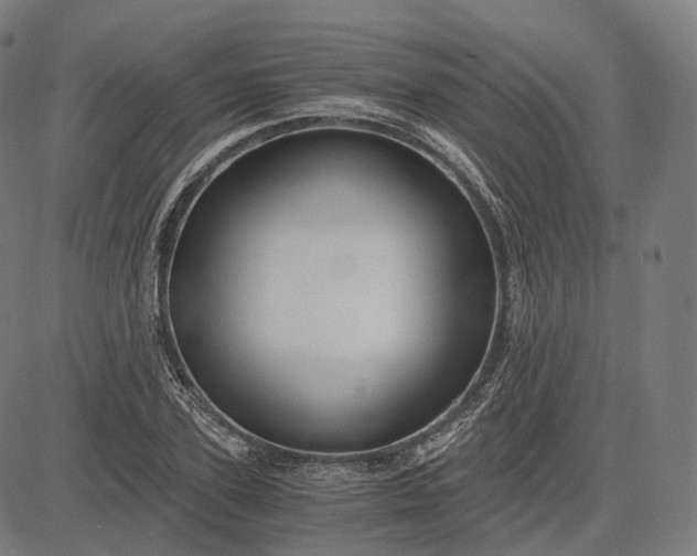 X0000084550931200703091715