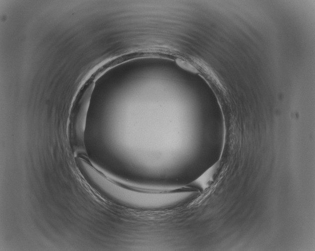 X0000084550932200703091716