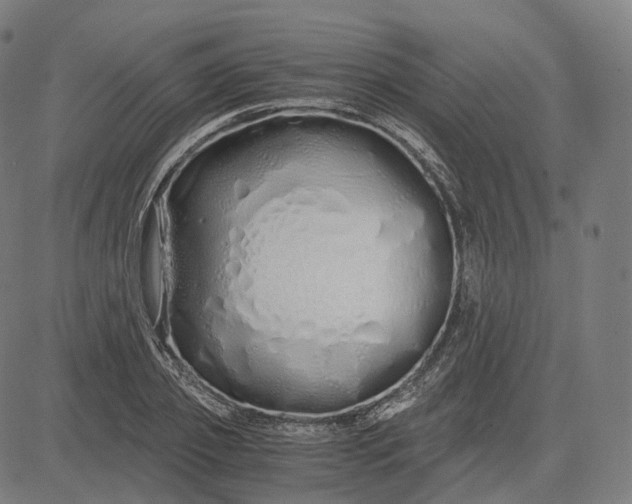 X0000084550933200703091716