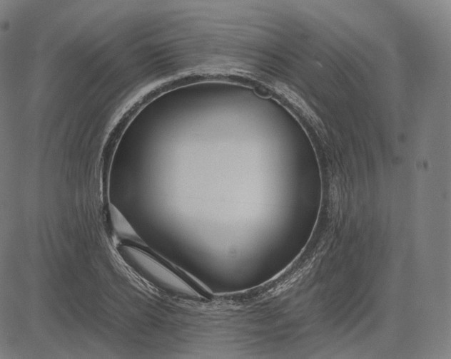 X0000084550934200703091716