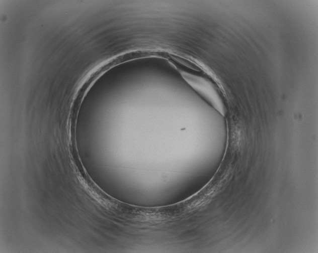 X0000084550935200703091716