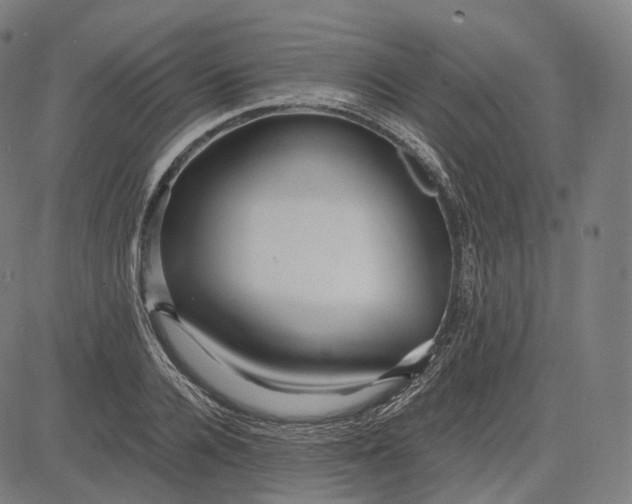 X0000084550936200703091716