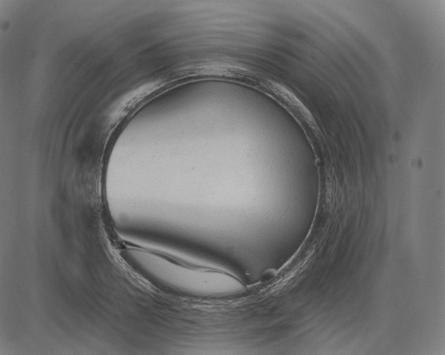 X0000084550938200703091716