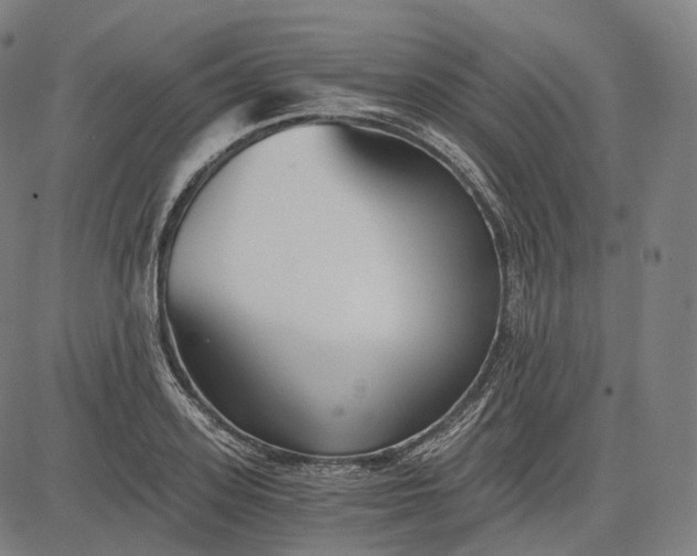 X0000084550939200703091716