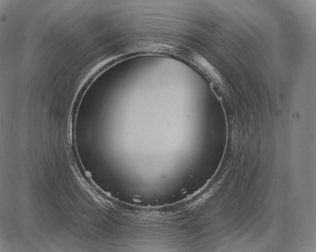 X0000084550940200703091716