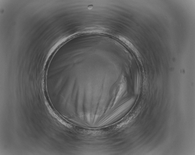 X0000084550941200703091716