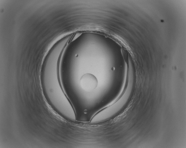 X0000084550942200703091716