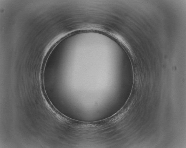 X0000084550943200703091716