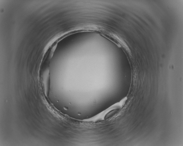 X0000084550944200703091716