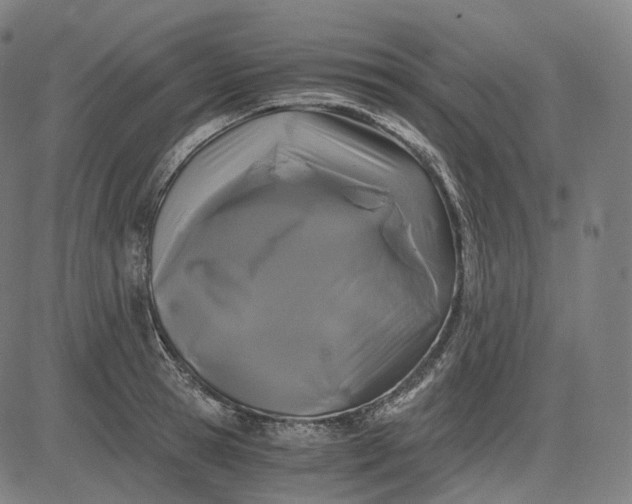 X0000084550945200703091716