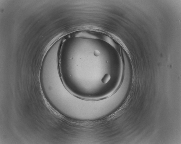 X0000084550946200703091716