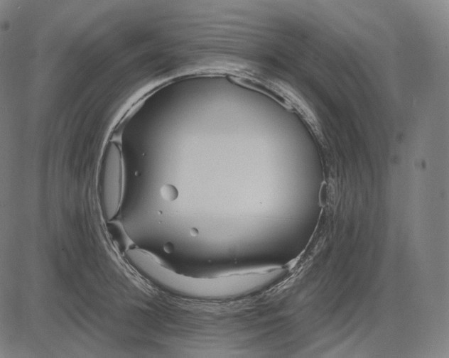 X0000084550948200703091716