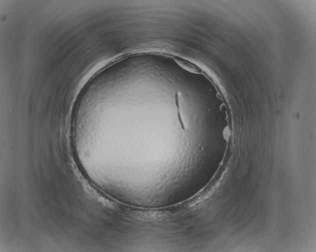 X0000084550949200703091716