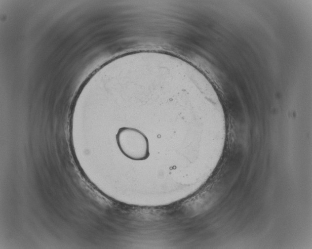 X0000084550950200703091716