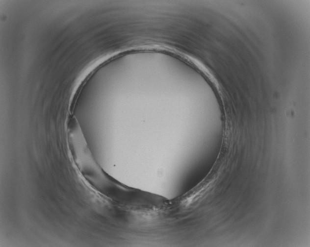 X0000084550951200703091716