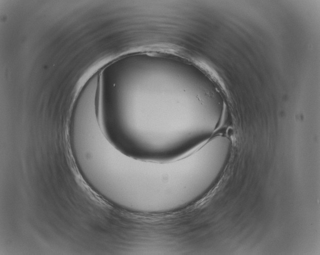 X0000084550952200703091716