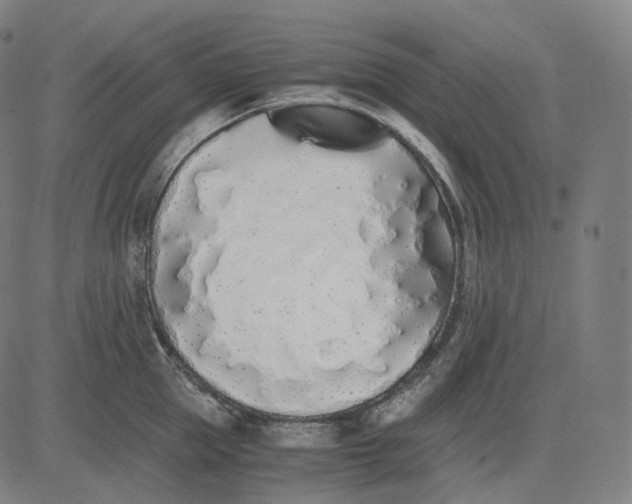 X0000084550953200703091716