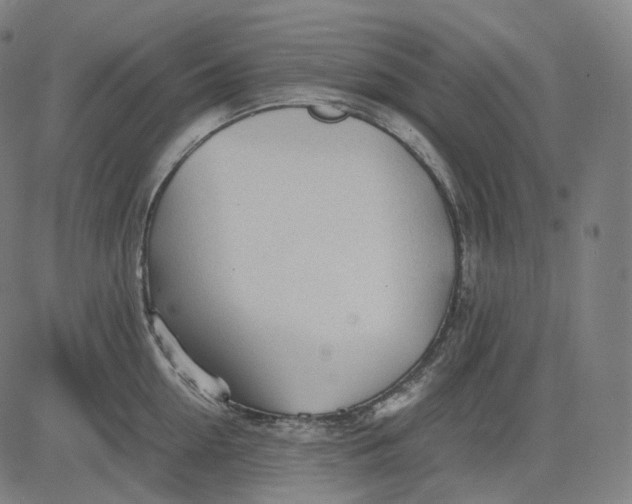 X0000084550954200703091716