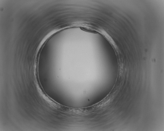 X0000084550955200703091716