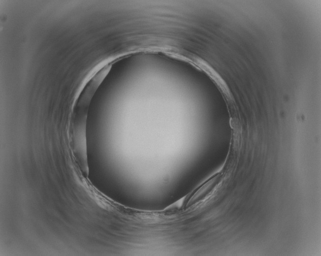 X0000084550956200703091716