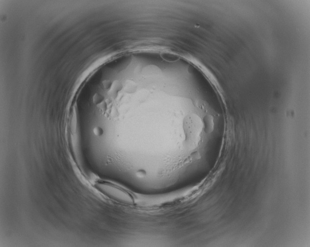 X0000084550957200703091716