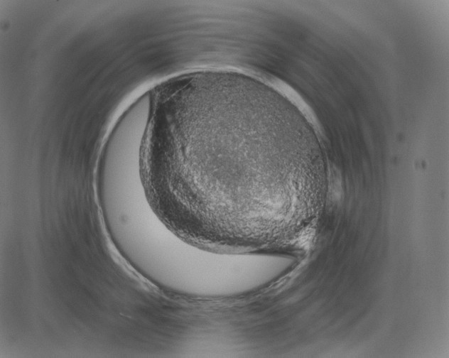 X0000084550958200703091716