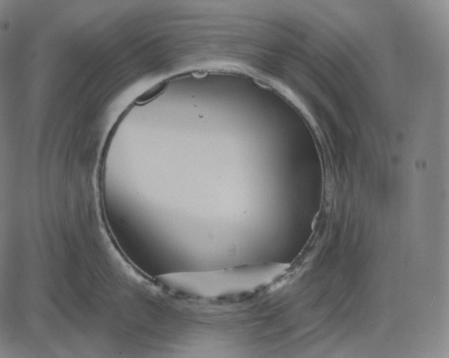 X0000084550959200703091716