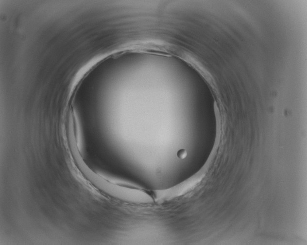 X0000084550960200703091716