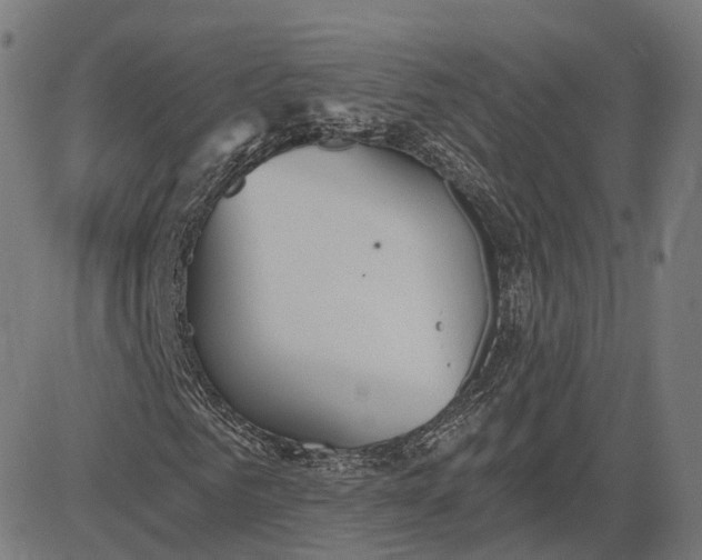 X0000084550961200703091715