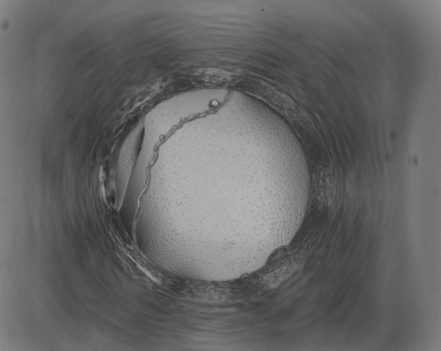 X0000084550962200703091715