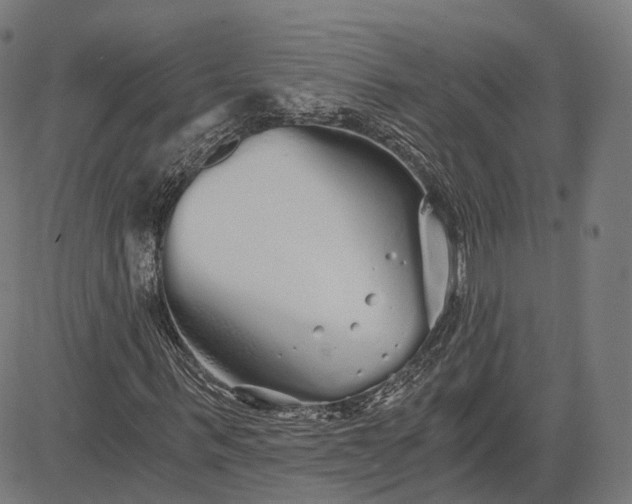 X0000084550963200703091715