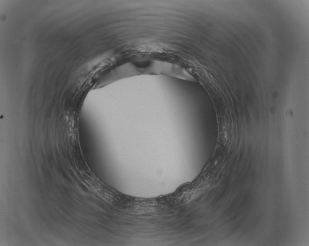 X0000084550964200703091715