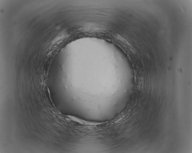 X0000084550966200703091715