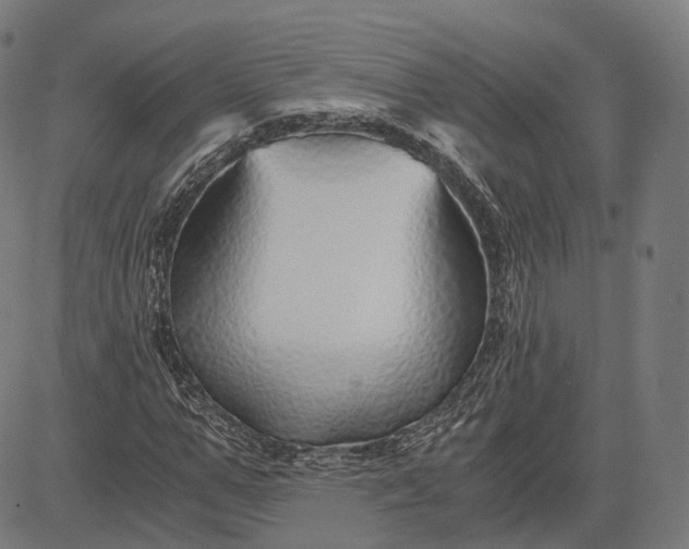 X0000084550967200703091715