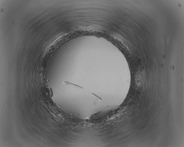 X0000084550968200703091715