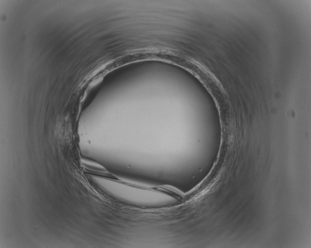 X0000084550969200703091715