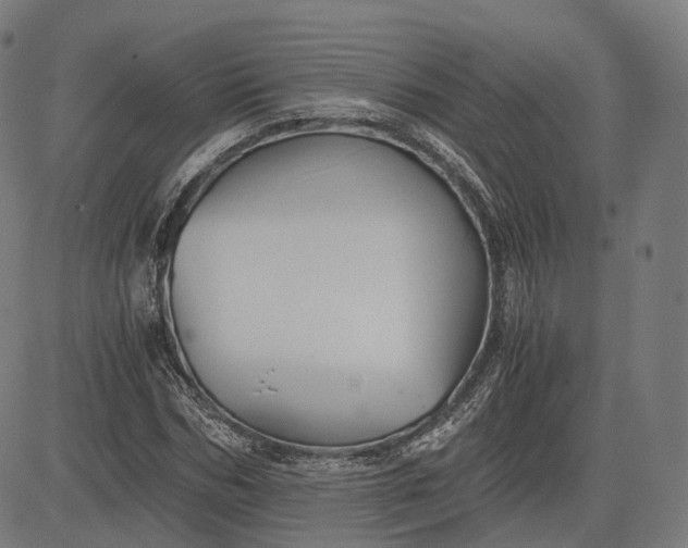 X0000084550970200703091715