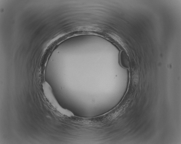 X0000084550971200703091715