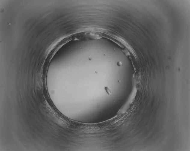 X0000084550972200703091715