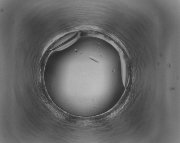 X0000084550973200703091715